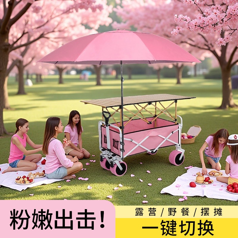 Pink Camper Folding Stall Trol - Car Accessories You Must Have recensione e prezzo